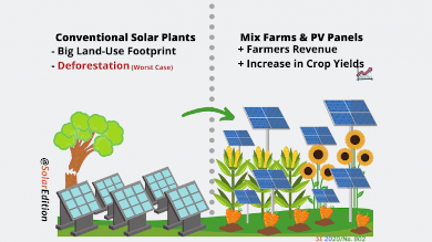 image, conventional vs agrivoltaics