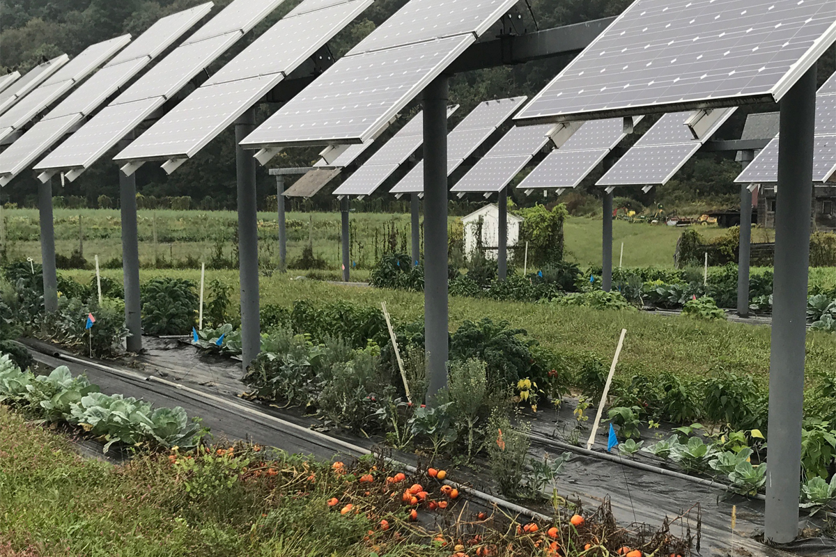 Experimental Agrivoltaic Solar Farm